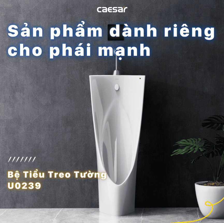 CÔNG TY THIẾT BỊ VỆ SINH ĐÔNG ANH