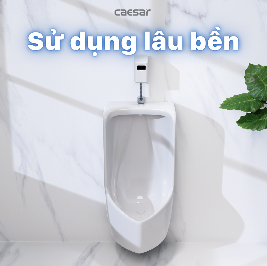 CÔNG TY THIẾT BỊ VỆ SINH ĐÔNG ANH
