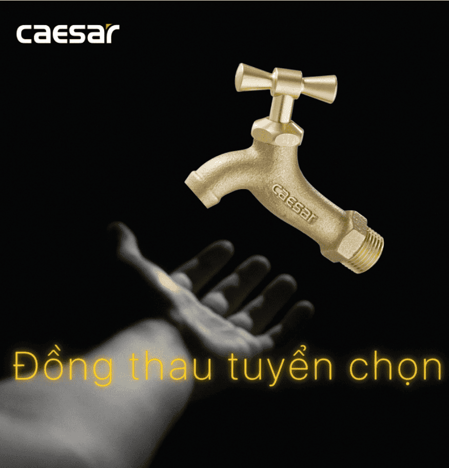 CÔNG TY THIẾT BỊ VỆ SINH ĐÔNG ANH