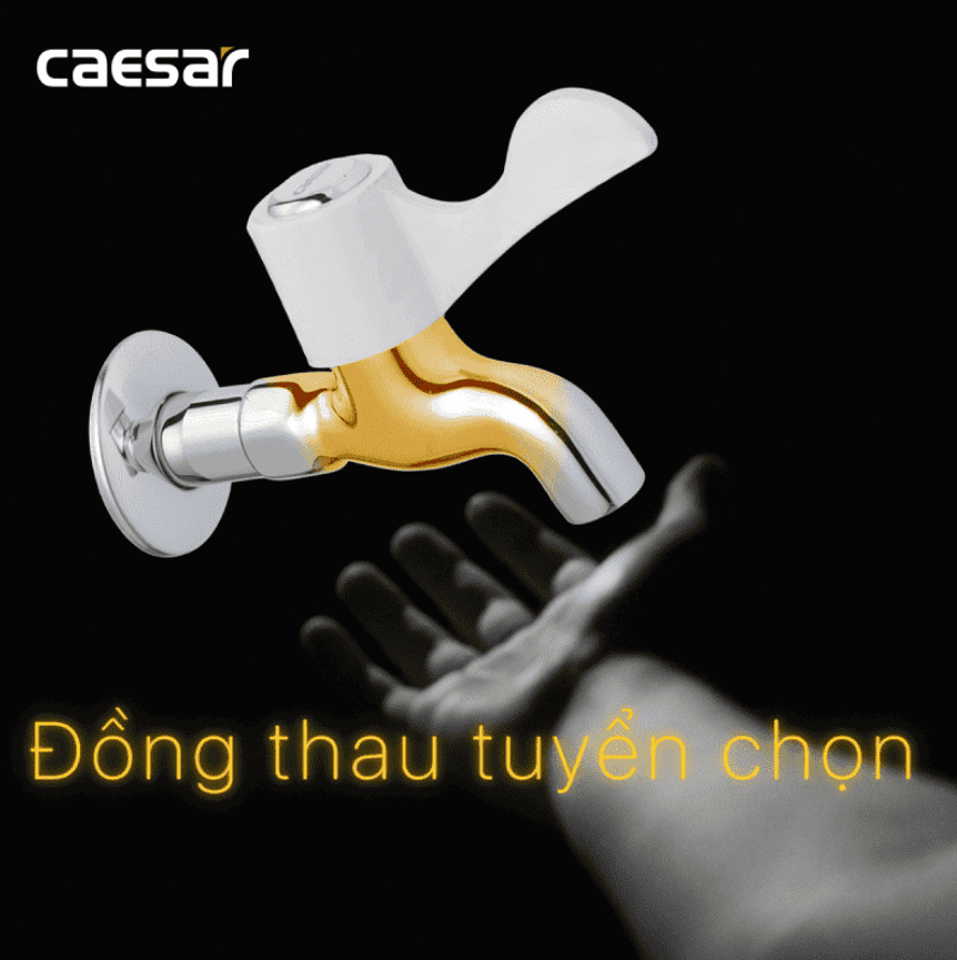 CÔNG TY THIẾT BỊ VỆ SINH ĐÔNG ANH
